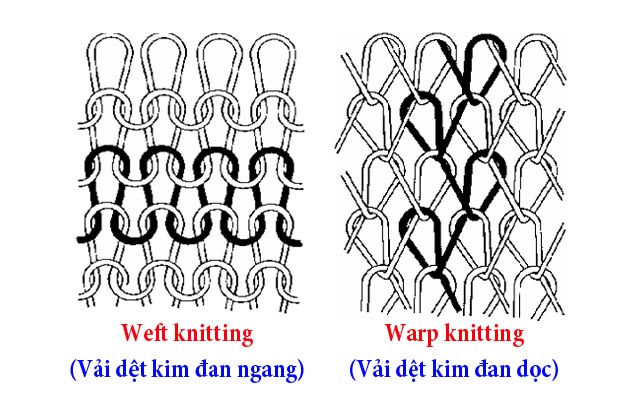 https://tudienhoahoc.com/wp-content/uploads/2019/10/phan-loai-vai-det-kim-weft-and-warp-knitting.jpg