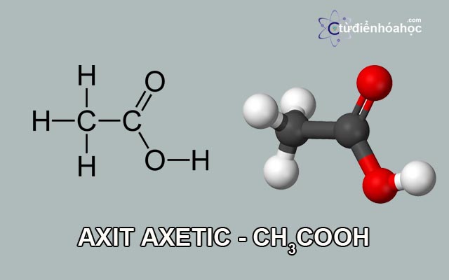 Nêu cấu tạo phân tử axit axetic